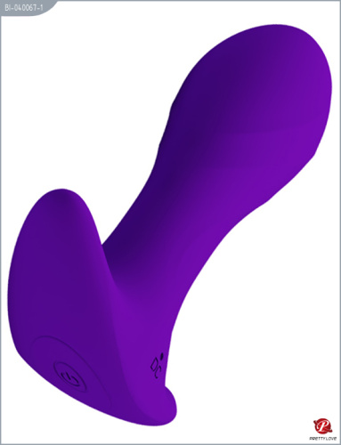 BI-040067-1__2